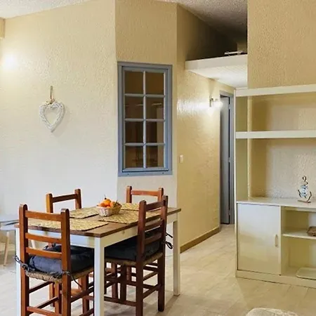 Apartment T2 A Avec Terrasse Et Parking, A 100m De La Plage - Fr-1-63-263 *